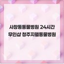 청주지웰동물병원 네이버블로그