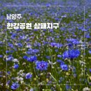 5월15일(금)12시,장자호수공원~구리한강공원유채꽃~남양주한강삼패공원수레국화,자작나무숲~덕소역뒤풀이 이미지