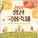 무야네일
