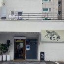 길선 | 대구 송현동 회덮밥 맛집 '길선횟집' 내돈내산 솔직후기