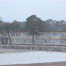 서상중고등학교 이미지