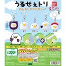 (주)우루루 이미지