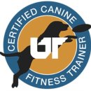 바우스쿨 이미지