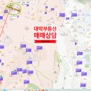 뉴대박공인중개사사무소 이미지