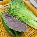 계명대 맛집 참한88왕족발 / 온족발 / 불족발 / 족발 메뉴 추천 / 온족발 불족발 후기 / 족발 가격 정보
