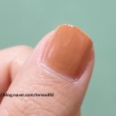 네일시즌(NAIL SEASON)