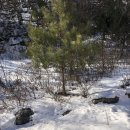 차항1리 마을회관 이미지