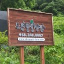 드림모두팜 이미지