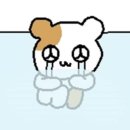 잘가또와 | 서울 솔로파티 효스타임 신촌 또 가버린 후기