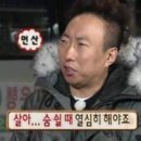 피티스미스 이미지