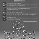 경희이건희한의원 | 꾸벅꾸벅…바싹바싹…어질어질…알레르기 치료 항히스타민제 부작용