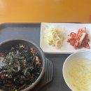 바쁘다바빠 5월.. 사무실 비둘기 출몰 이슈
