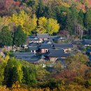 포라이즌 이미지