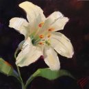 유화 (초급) 이미지