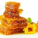 장수양봉원 이미지