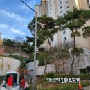 종로-숭인-종로-숭-195 | 종로구 임장 1탄: 인왕산현대아이파크, 무악현대, 경희궁자이 임장