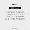 다비드치과 이미지