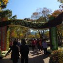 대구수목원 이미지