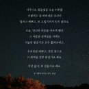 늘;봄 이미지