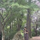 내원정사 - 1613 | 부산 템플스테이 내원정사 🏡