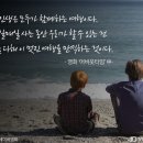 해찬솔 편지 - 짧은 인생 명언 이미지