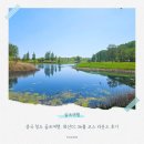 청도의류 | 중국 청도 골프여행, 화산CC 36홀 코스 라운드 후기