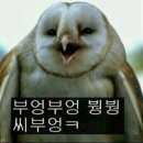 찰리네맥주집 - 도봉구 노해로 137 | 찰리네맥주집