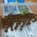 다마소프트 이미지