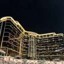 쇼펠리스 | [마카오]윈팰리스 분수쇼 시간 및 곤돌라 탑승 후기