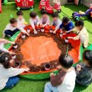 새싹과 나무어린이집 이미지