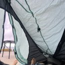 3박4일 울릉도 3일차 : 반려동반 산책 나리분지 / 나리촌 식당 / 숲크닉카페 / 삼선암 / 독도문방구
