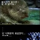 칠성광고 이미지