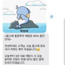 동일하모로 | 제주도 여행 힐링투어 야생돌고래 투어 스피드보트 이용후기