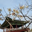 대평중학교(정자동) 이미지