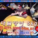 20241106 파주 삼방낚시터 대물향어 5kg, 메기 입질/챔질/힘! 겨루기 "인증영상" 올립니다. 대물터/잡이터 이미지