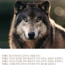 하얀 이미지
