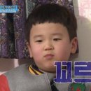 벚골