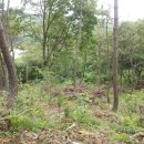 동구청 후문 이미지