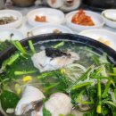 풍년복집 - 창원시 성산구 | 사천 풍년복집 자연산참복국 내돈내산