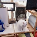 차지우동물병원 이미지