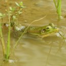 성성호수공원 이미지