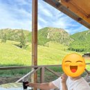 [몽골자유여행] 테를지 자유여행 숙소 게르 캠프 후기 Apache Eco Camp