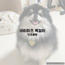 잇츠폴댕