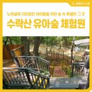 태릉유아숲체험원 네이버블로그