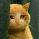 타이어신발보다싸다 | 앗! 타이어 공시보다 싸다