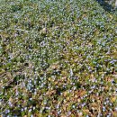 쉼 토평리 이미지