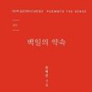 시산민박 이미지