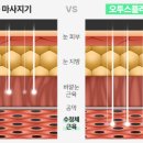 오투스안경 이미지