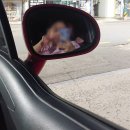 [20대 life] 왜 벌써 개강인데,, 나 개강하기 시러,,