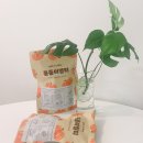 뽀다방 이미지
